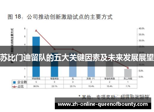 苏比门迪留队的五大关键因素及未来发展展望