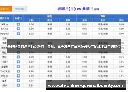英冠联赛概述与特点解析：赛制、竞争激烈性及其在英格兰足球体系中的地位