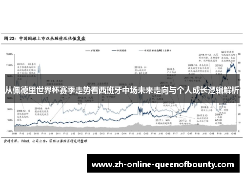 从佩德里世界杯赛季走势看西班牙中场未来走向与个人成长逻辑解析 从佩德里世界杯赛季走势看西班牙中场未来走向与个人成长逻辑解析