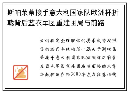 斯帕莱蒂接手意大利国家队欧洲杯折戟背后蓝衣军团重建困局与前路